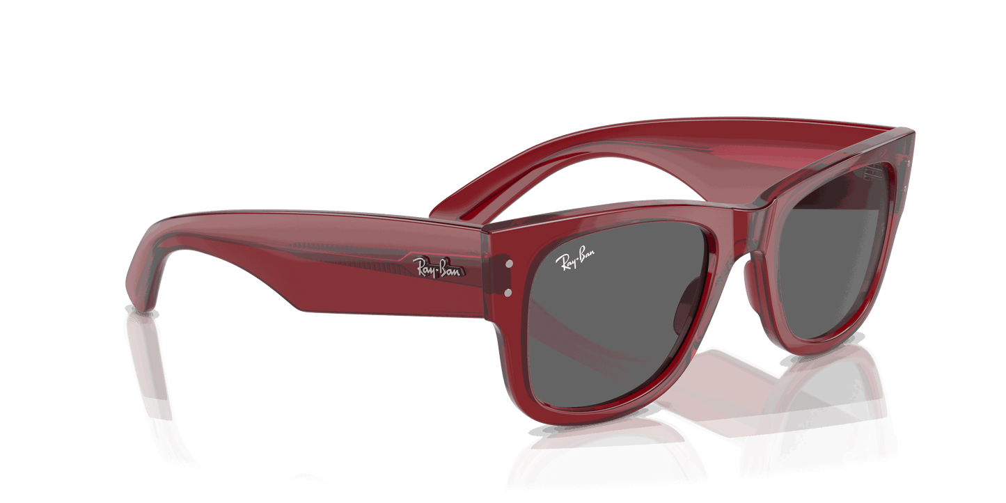 [Dark Grey Lenses, Polished Transparent Red Frame]