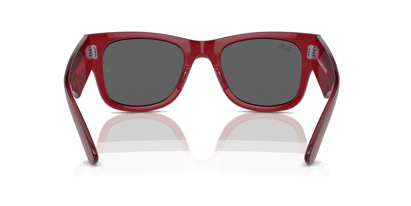 [Dark Grey Lenses, Polished Transparent Red Frame]