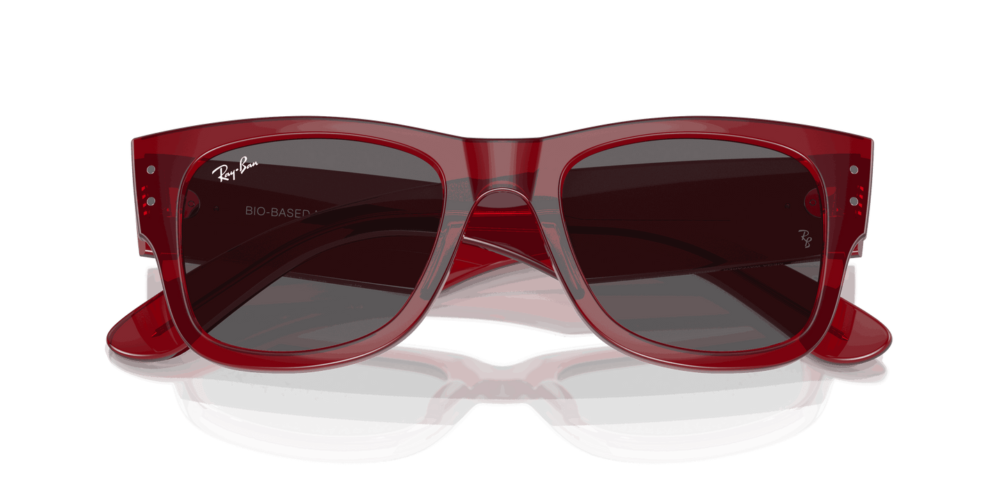 [Dark Grey Lenses, Polished Transparent Red Frame]