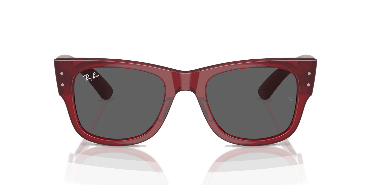 [Dark Grey Lenses, Polished Transparent Red Frame]