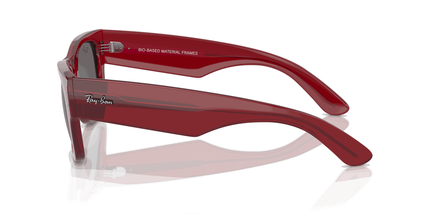 [Dark Grey Lenses, Polished Transparent Red Frame]