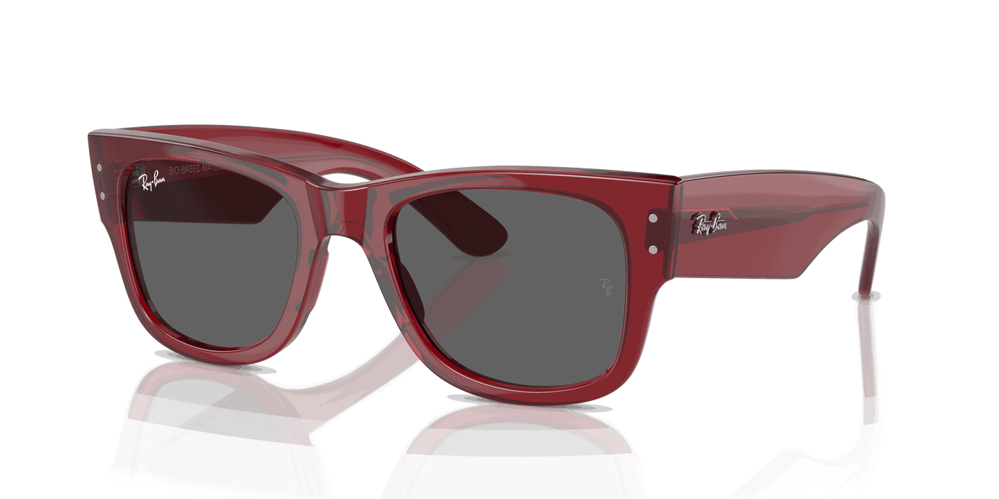 [Dark Grey Lenses, Polished Transparent Red Frame]