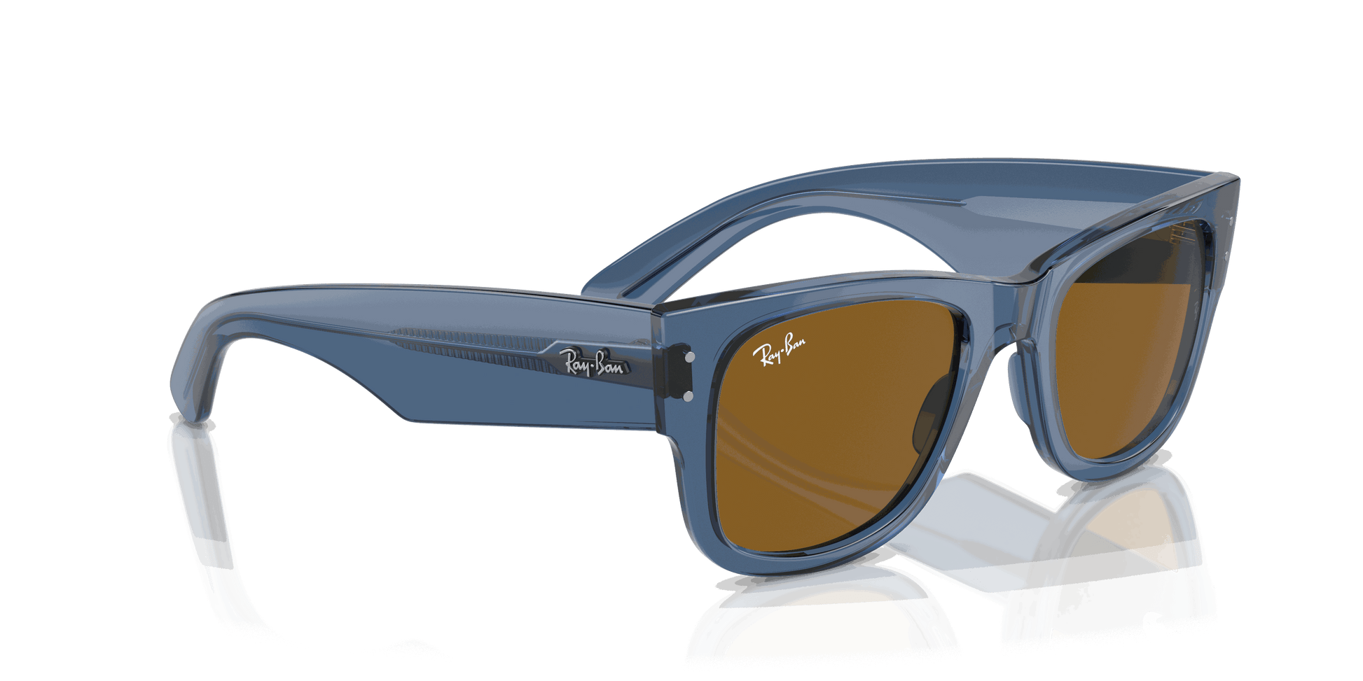 [Brown Lenses, Polished Transparent Blue Frame]