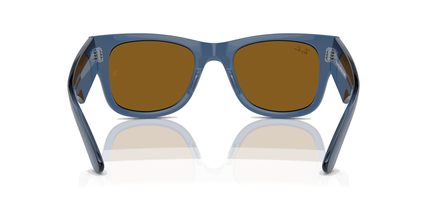 [Brown Lenses, Polished Transparent Blue Frame]