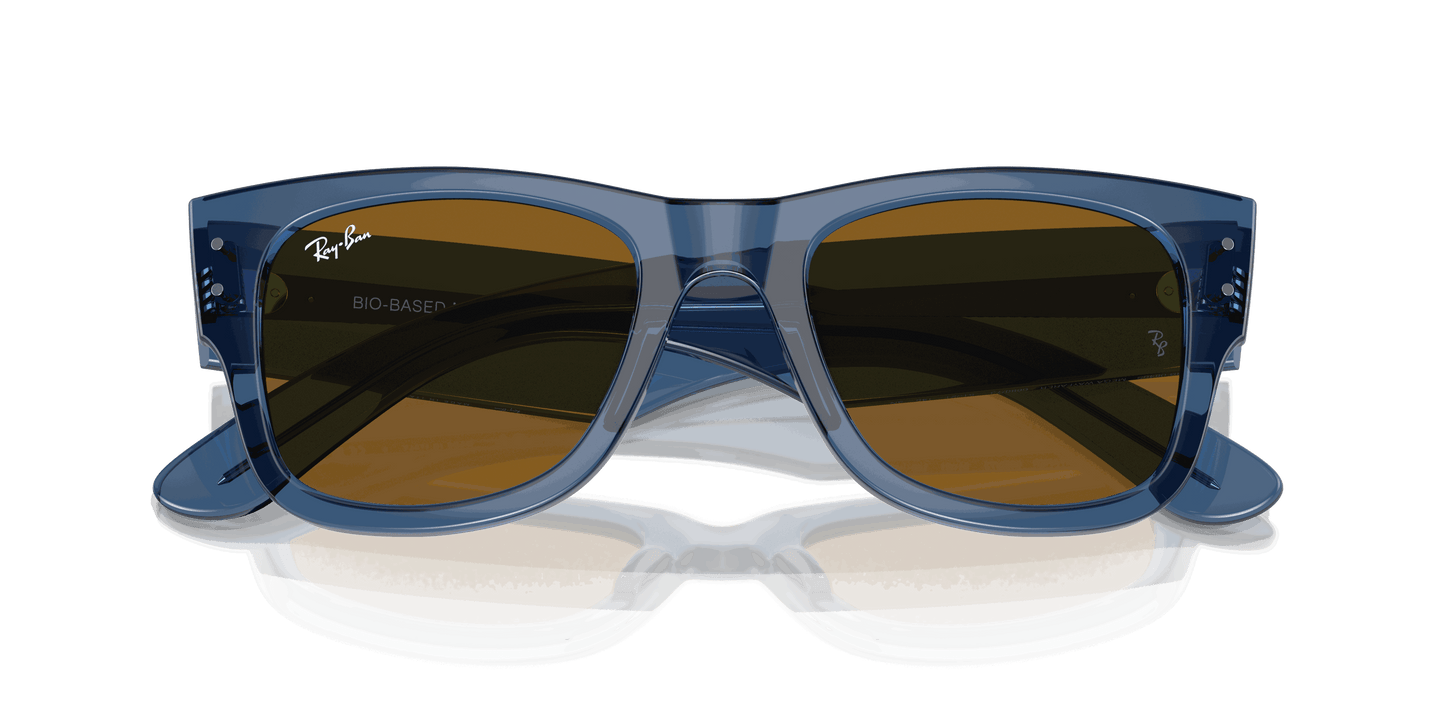 [Brown Lenses, Polished Transparent Blue Frame]