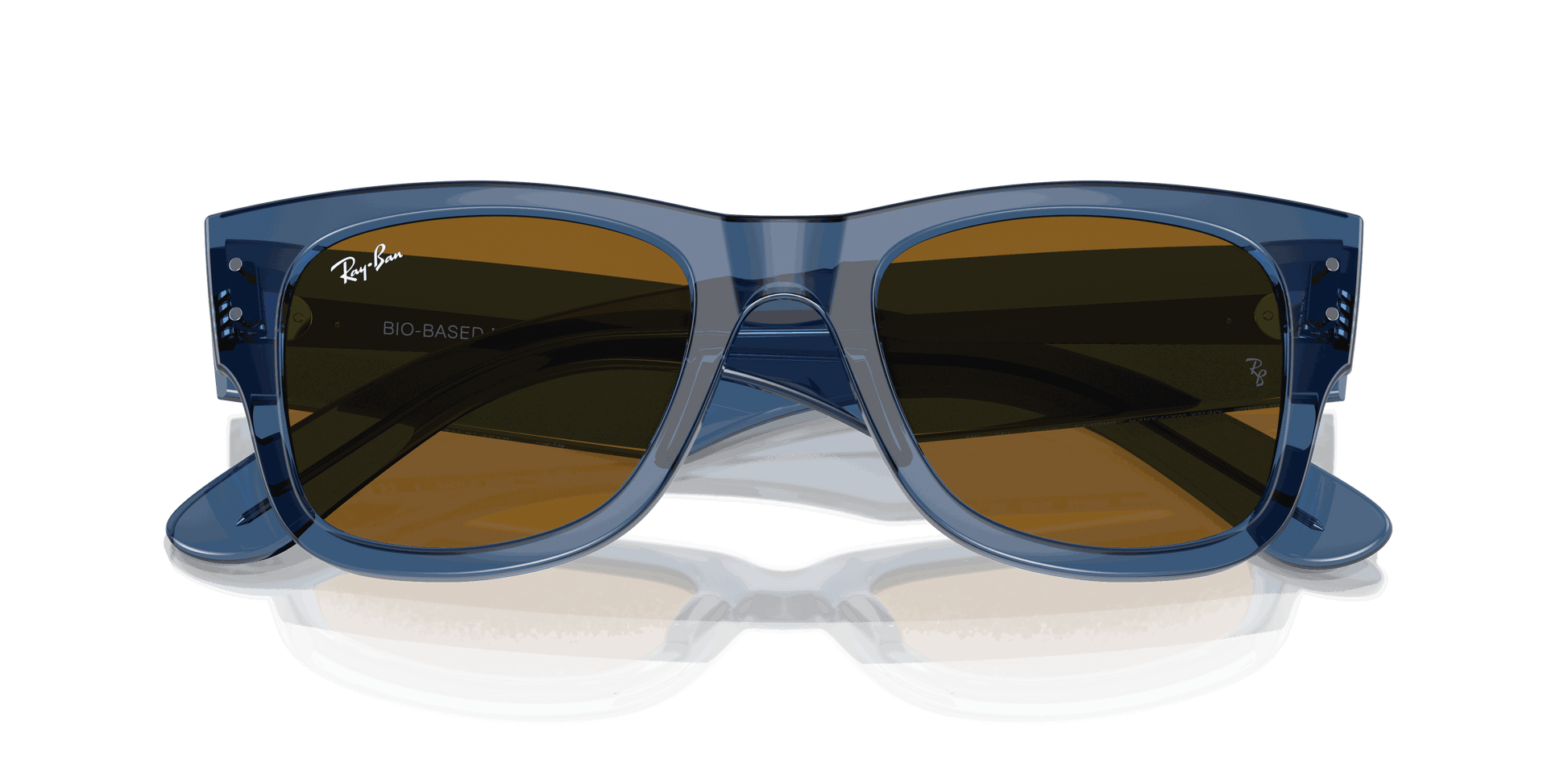 [Brown Lenses, Polished Transparent Blue Frame]