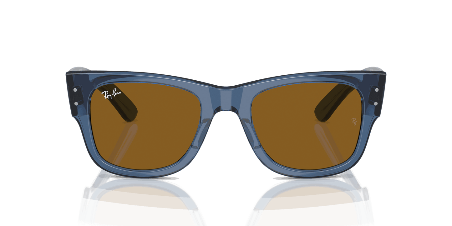 [Brown Lenses, Polished Transparent Blue Frame]