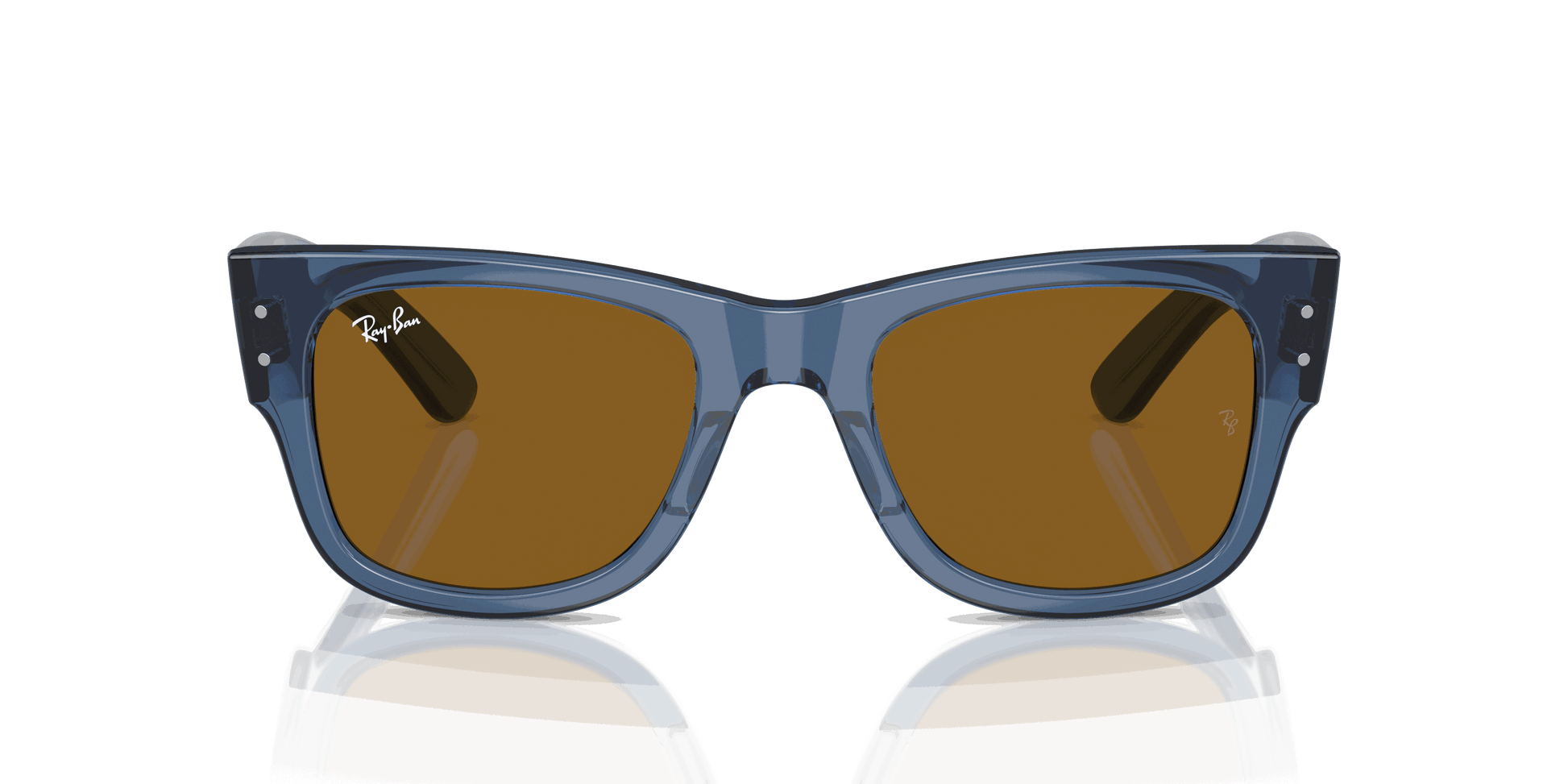 [Brown Lenses, Polished Transparent Blue Frame]