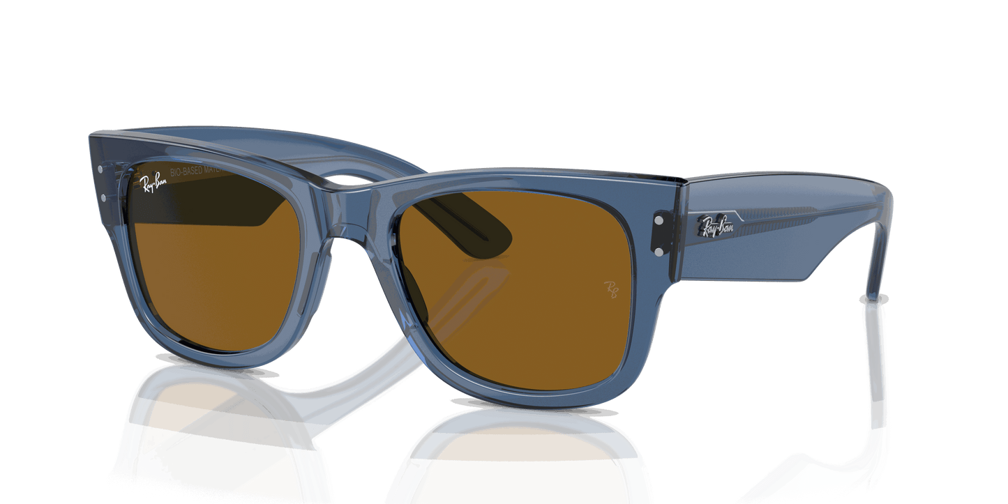 [Brown Lenses, Polished Transparent Blue Frame]