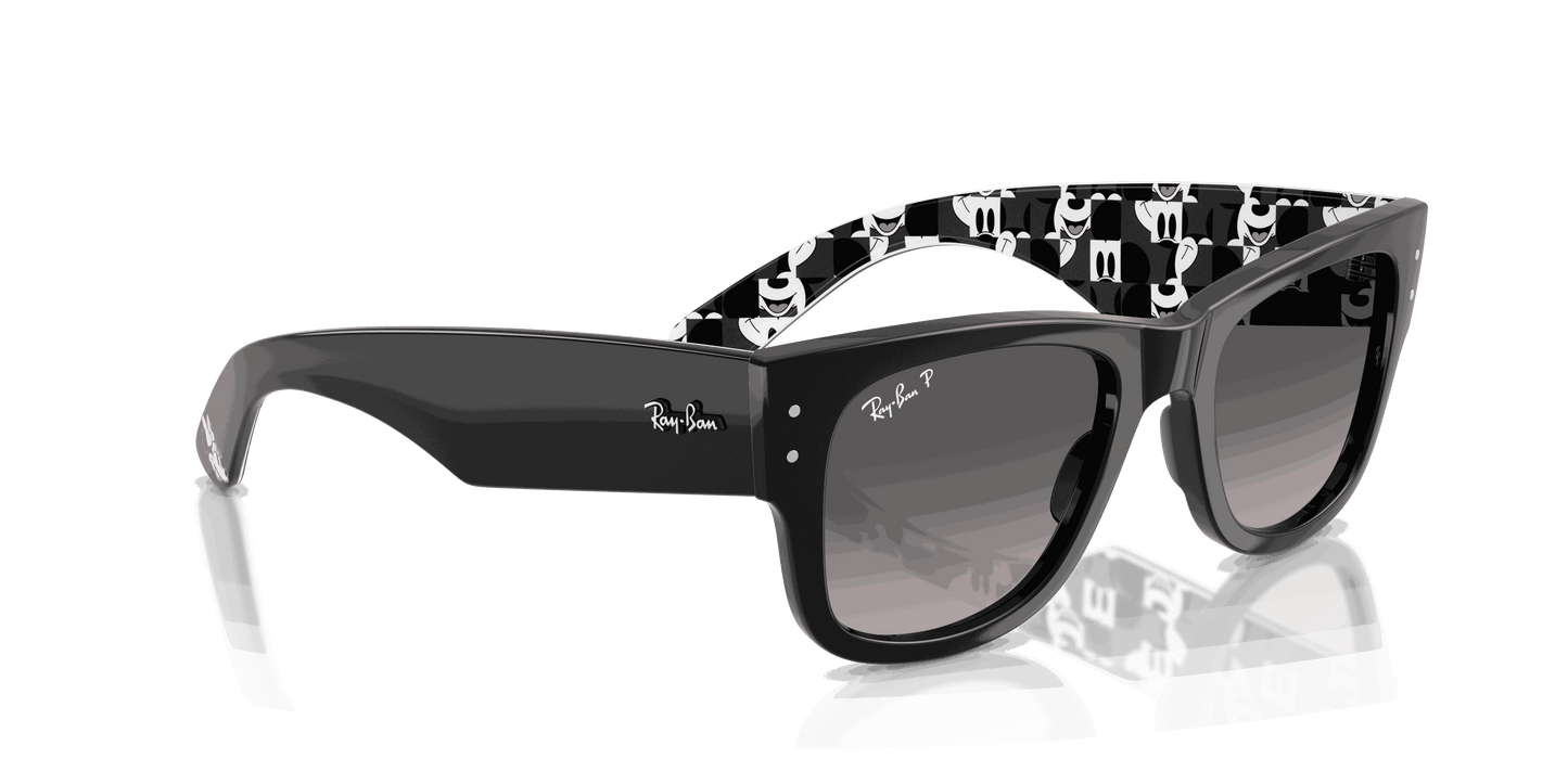 [Grey Gradient Polar Lenses, Polished Black Frame]