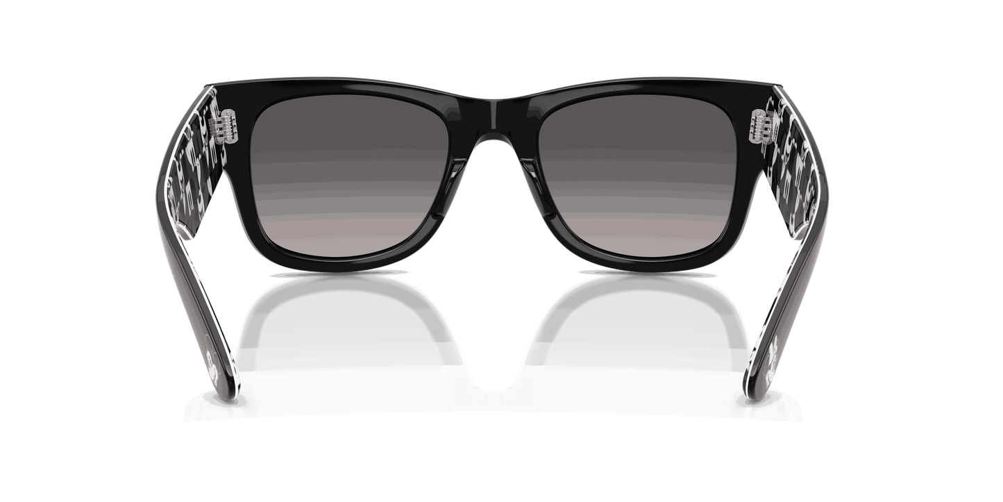 [Grey Gradient Polar Lenses, Polished Black Frame]