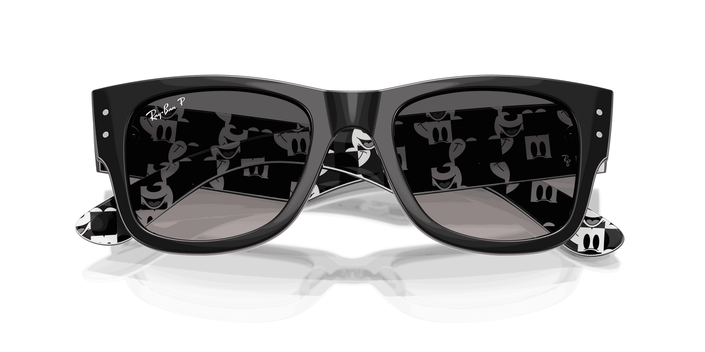 [Grey Gradient Polar Lenses, Polished Black Frame]