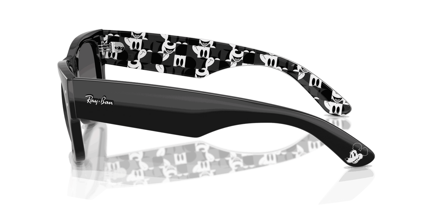 [Grey Gradient Polar Lenses, Polished Black Frame]