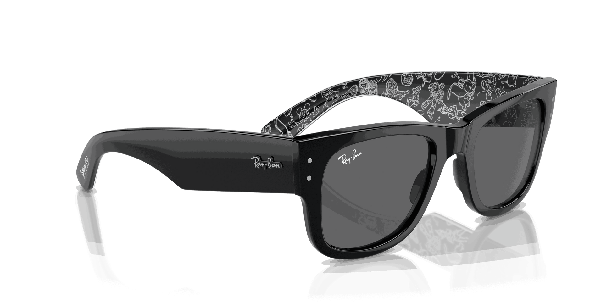 [Dark Grey Lenses, Polished Black Frame]
