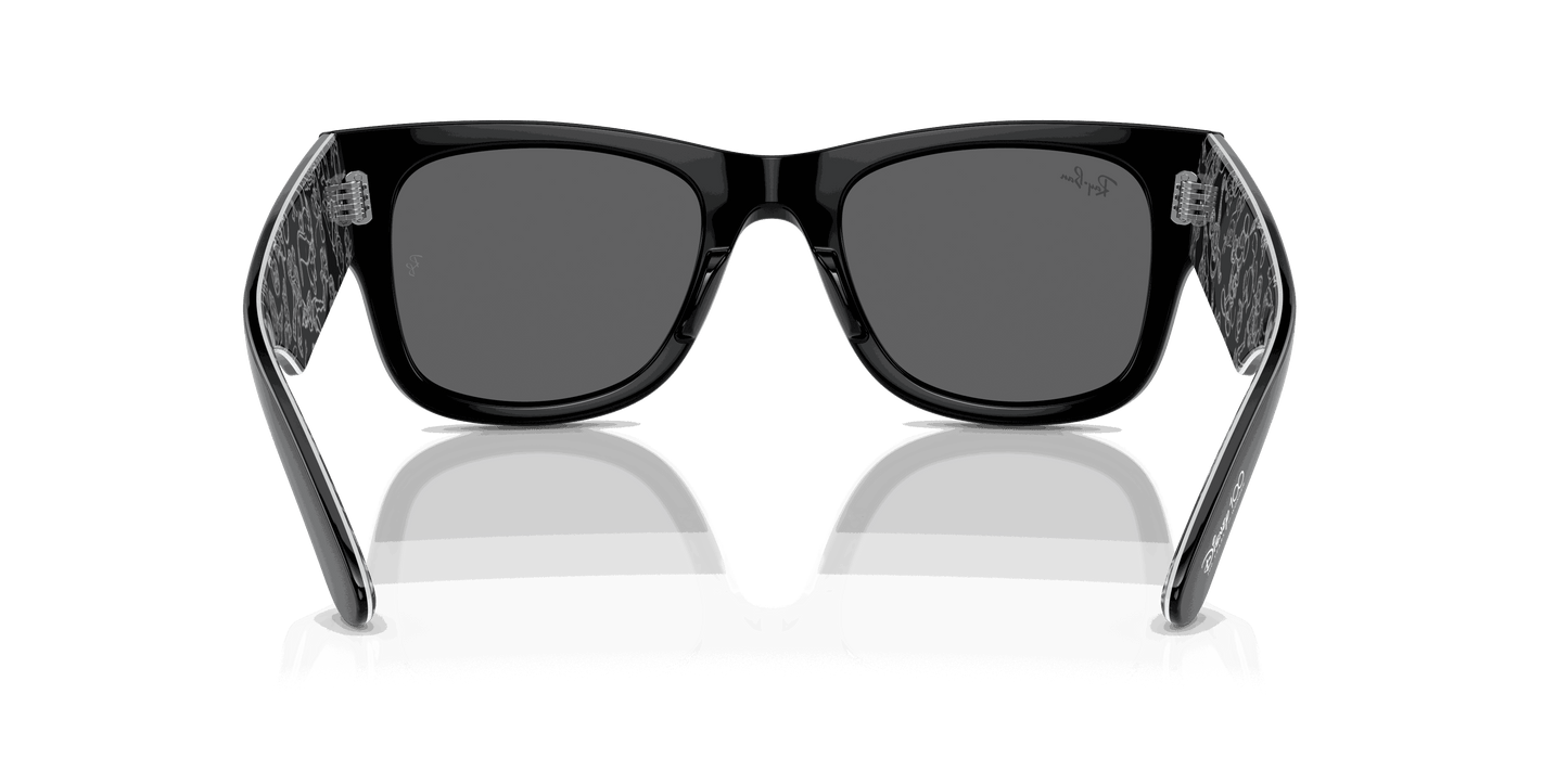 [Dark Grey Lenses, Polished Black Frame]