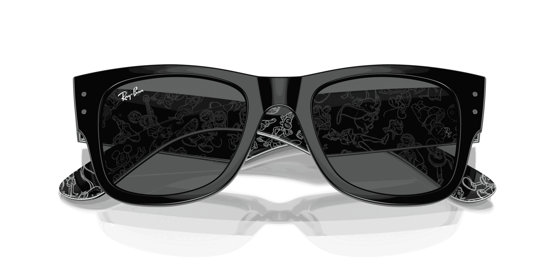 [Dark Grey Lenses, Polished Black Frame]