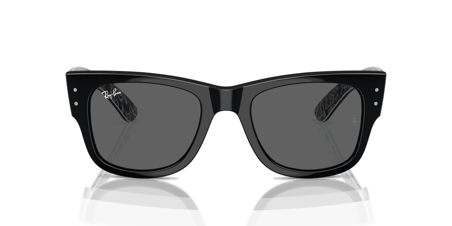 [Dark Grey Lenses, Polished Black Frame]