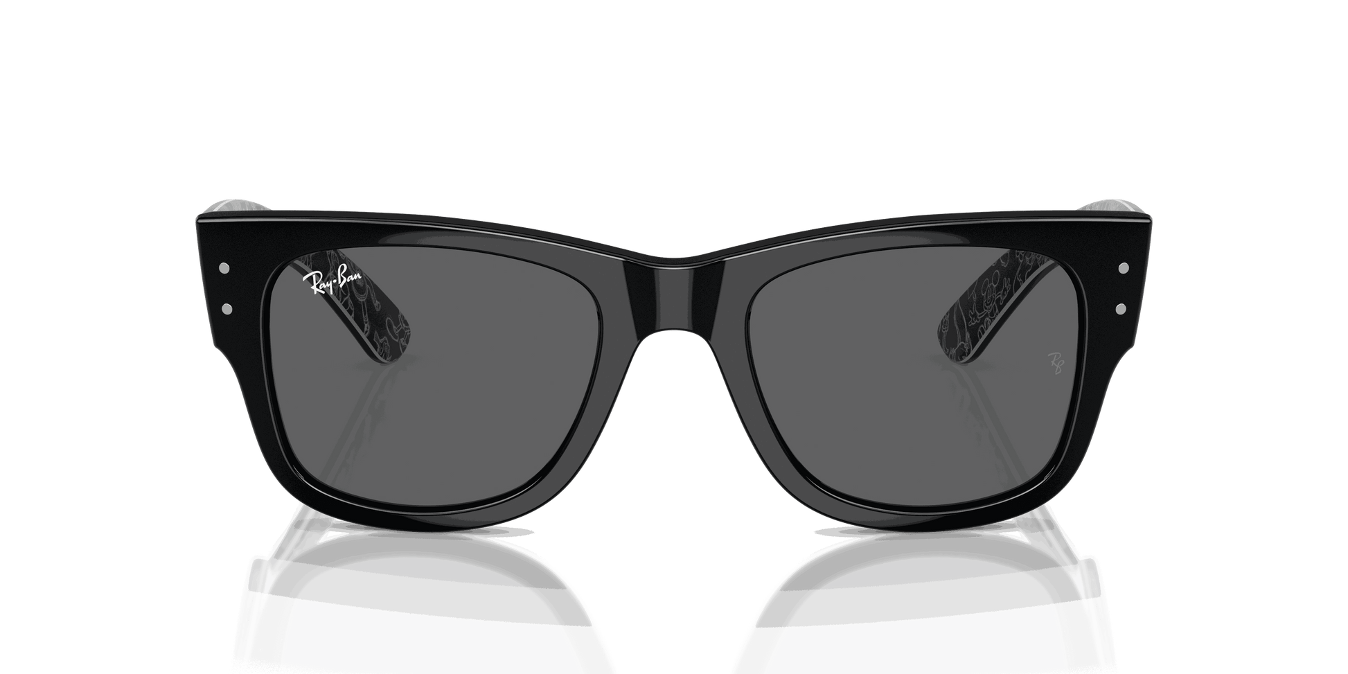 [Dark Grey Lenses, Polished Black Frame]