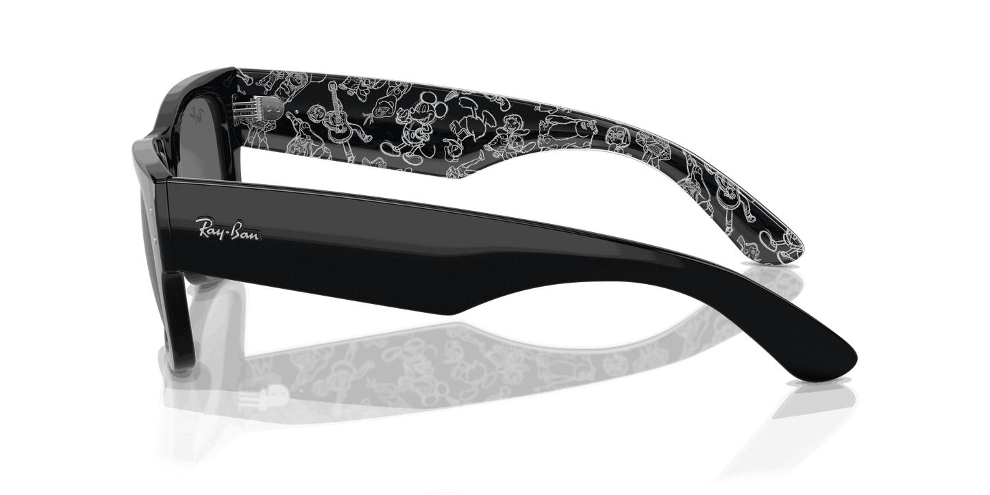[Dark Grey Lenses, Polished Black Frame]