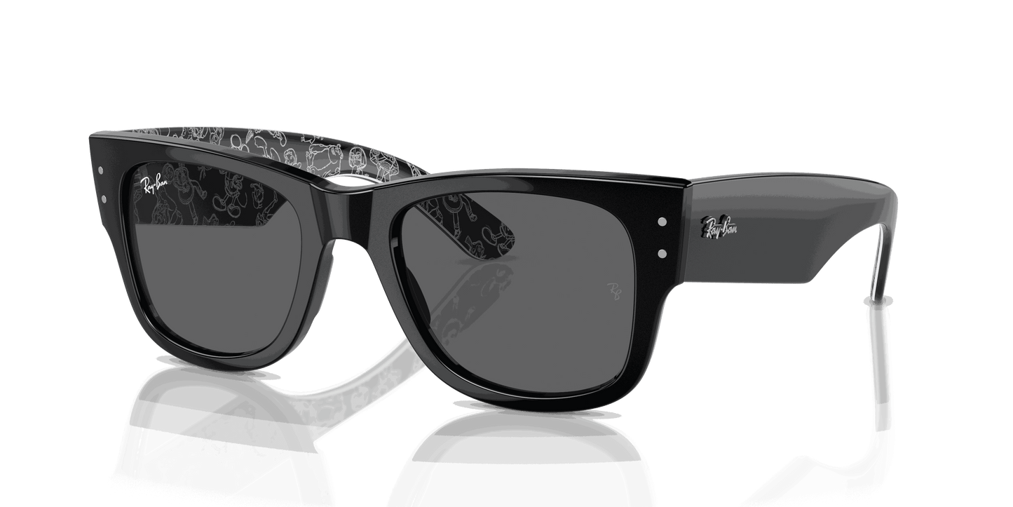 [Dark Grey Lenses, Polished Black Frame]
