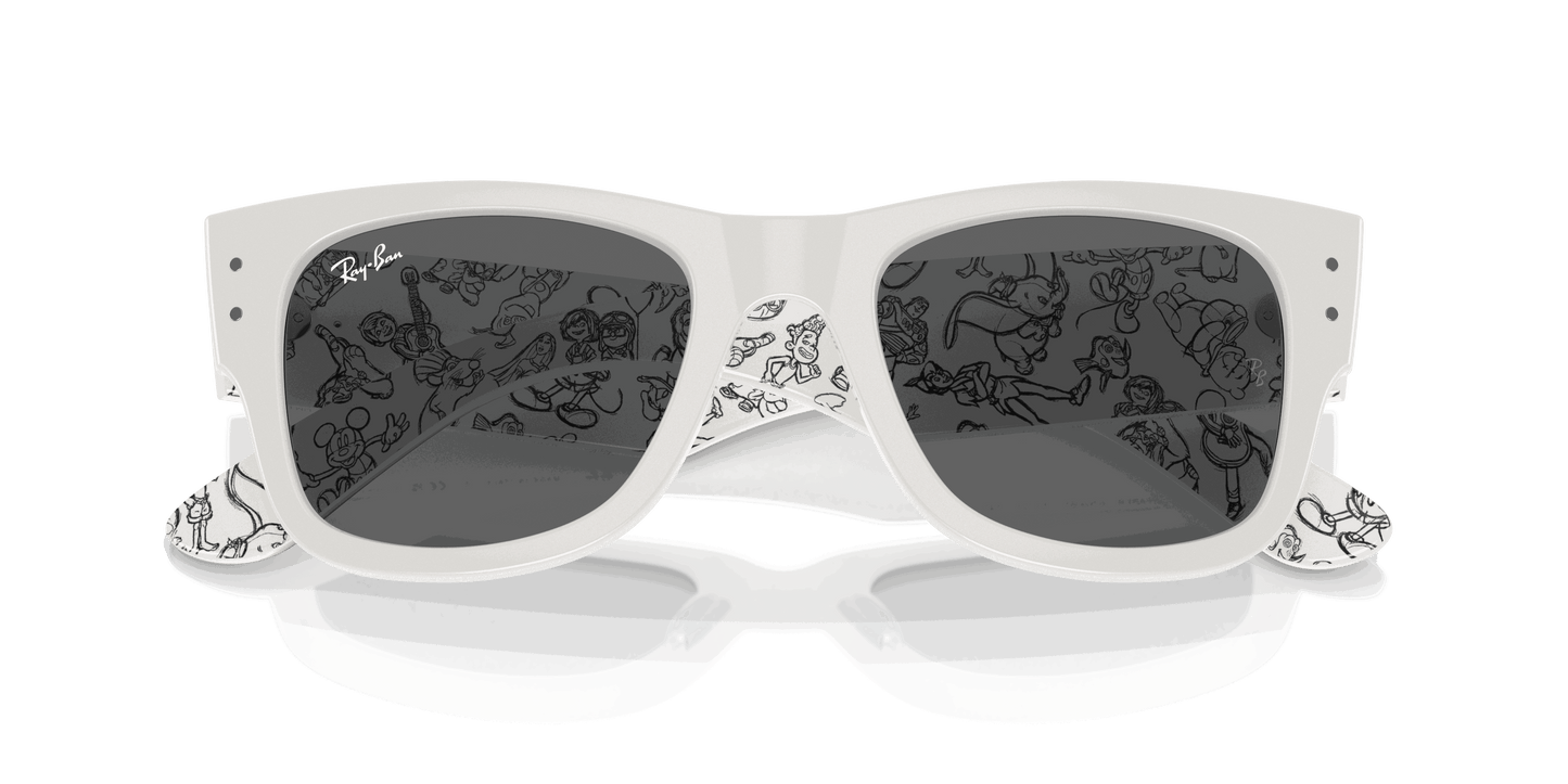 [Dark Grey Lenses, Polished White Frame]