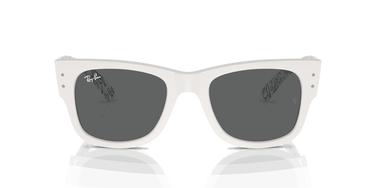 [Dark Grey Lenses, Polished White Frame]