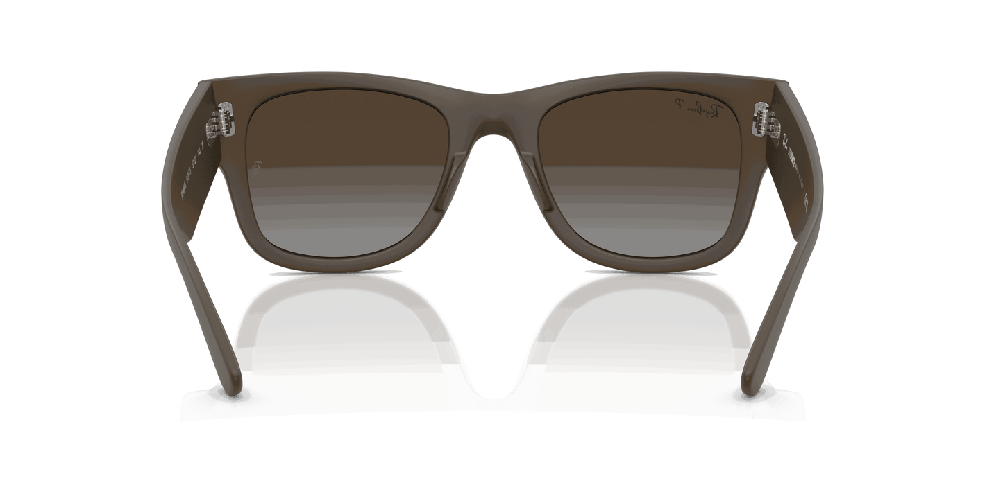 [Polar Brown Gradient Lenses, Matte Sand Brown Frame]