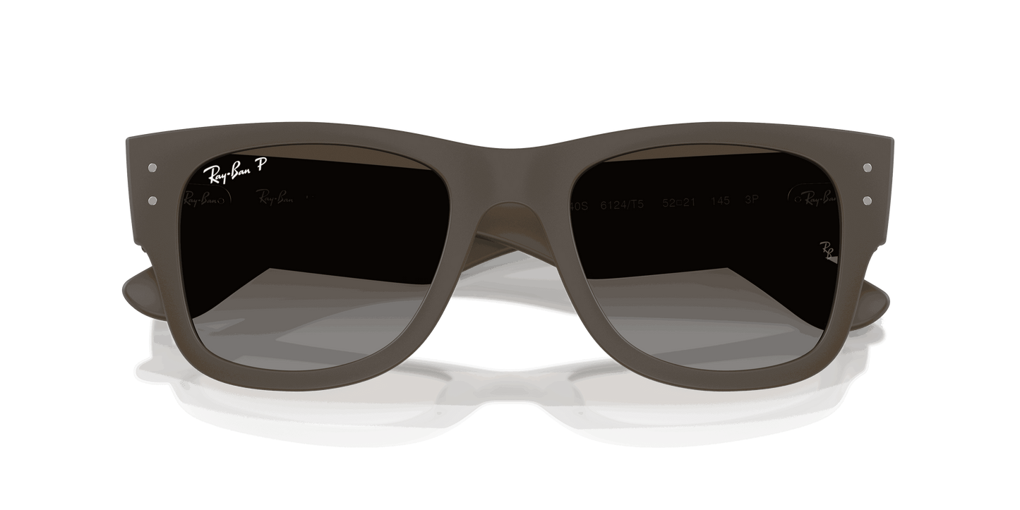 [Polar Brown Gradient Lenses, Matte Sand Brown Frame]