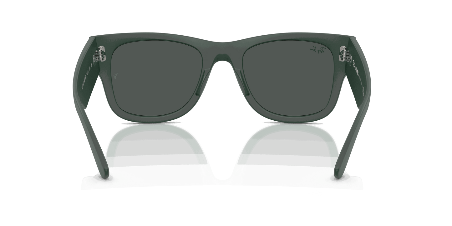 [Dark Grey Lenses, Matte Sand Green Frame]