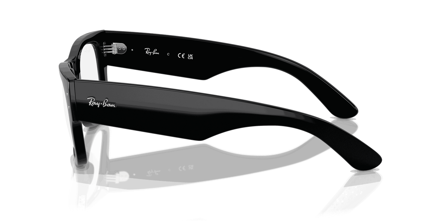 [Clear Lenses, Polished Black Frame]