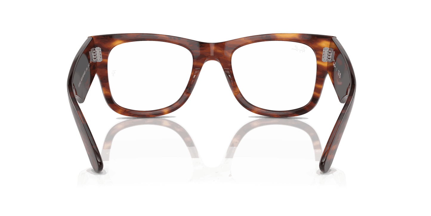 [Clear Lenses, Polished Striped Havana Frame]