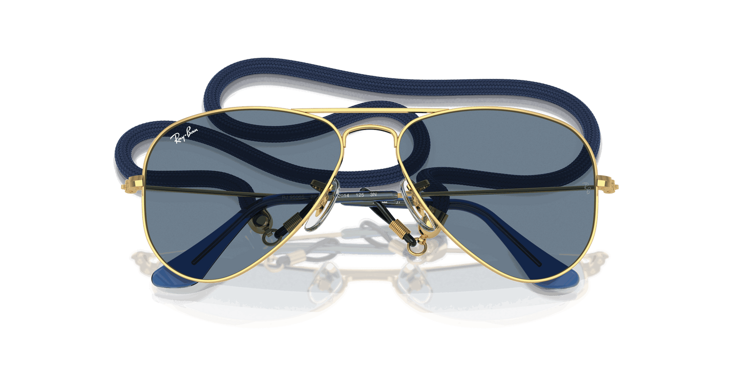 [Light Blue Mirror Lenses, Polished Arista Gold Frame]