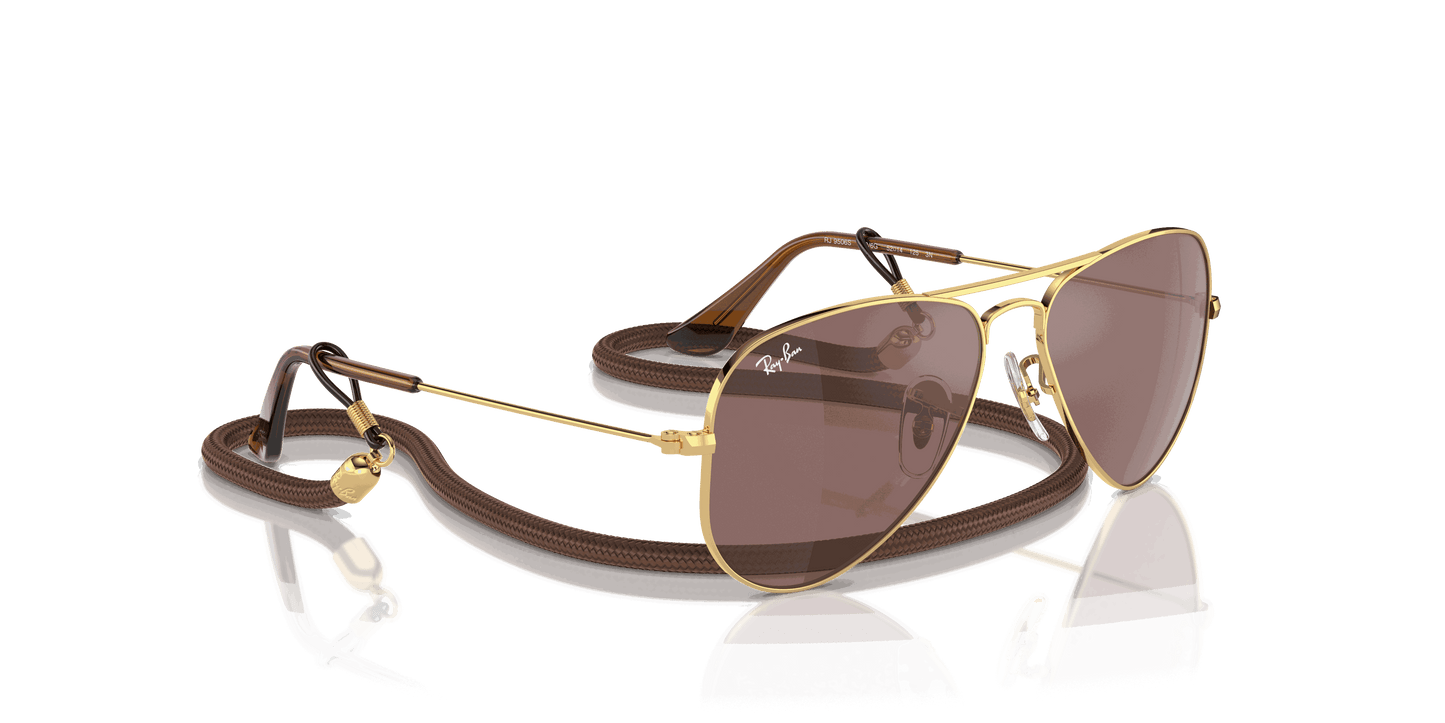 [Brown Mirror Silver Lenses, Polished Arista Gold Frame]