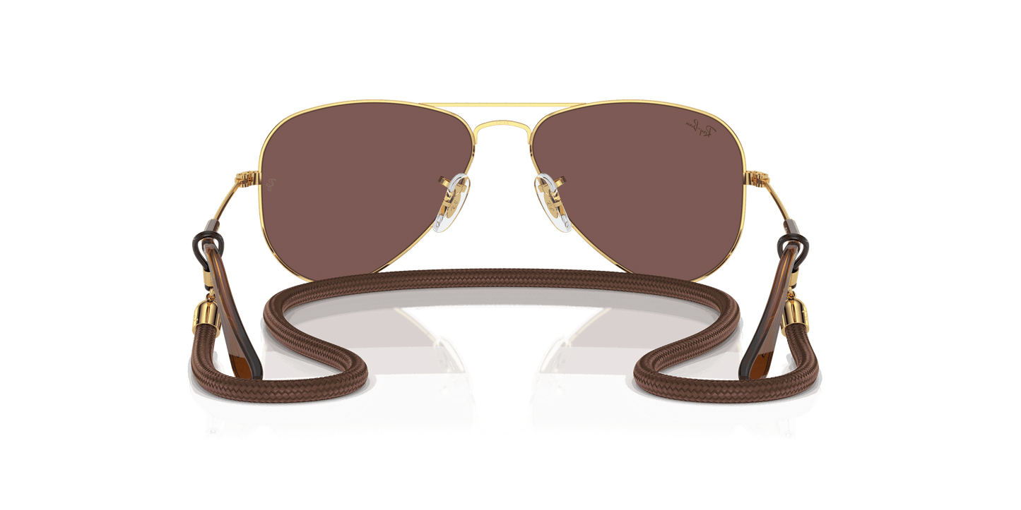[Brown Mirror Silver Lenses, Polished Arista Gold Frame]