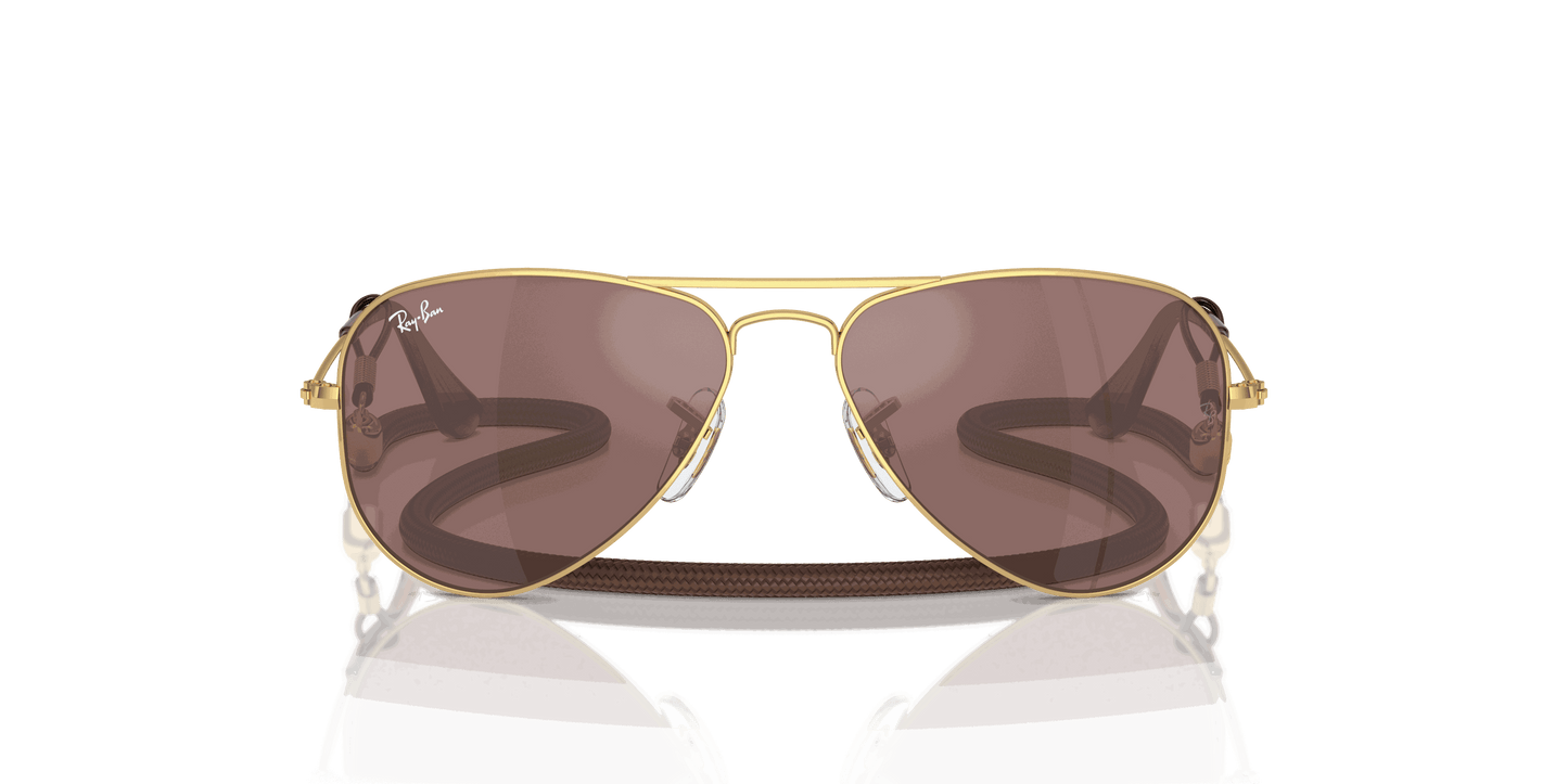 [Brown Mirror Silver Lenses, Polished Arista Gold Frame]