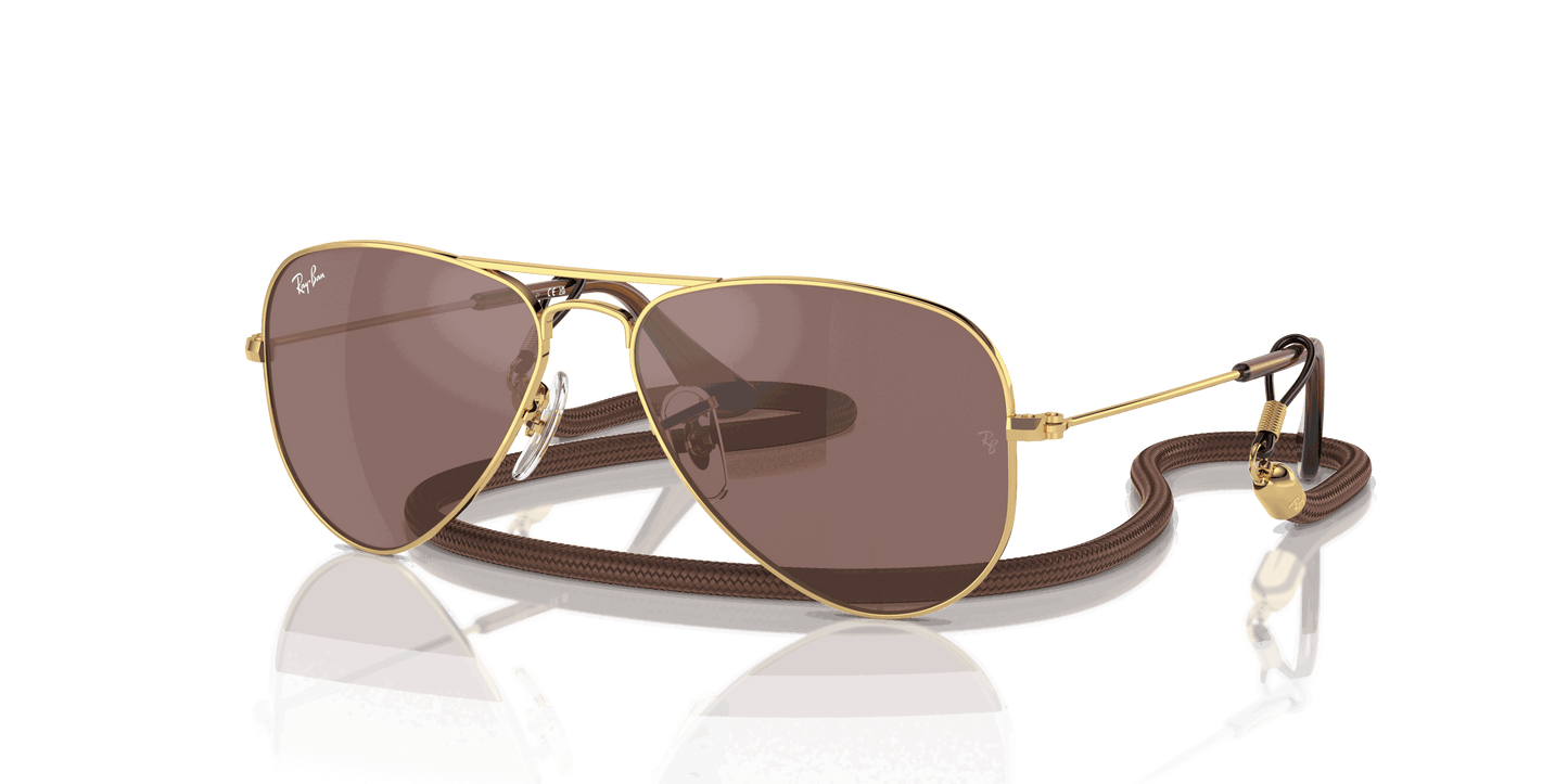 [Brown Mirror Silver Lenses, Polished Arista Gold Frame]