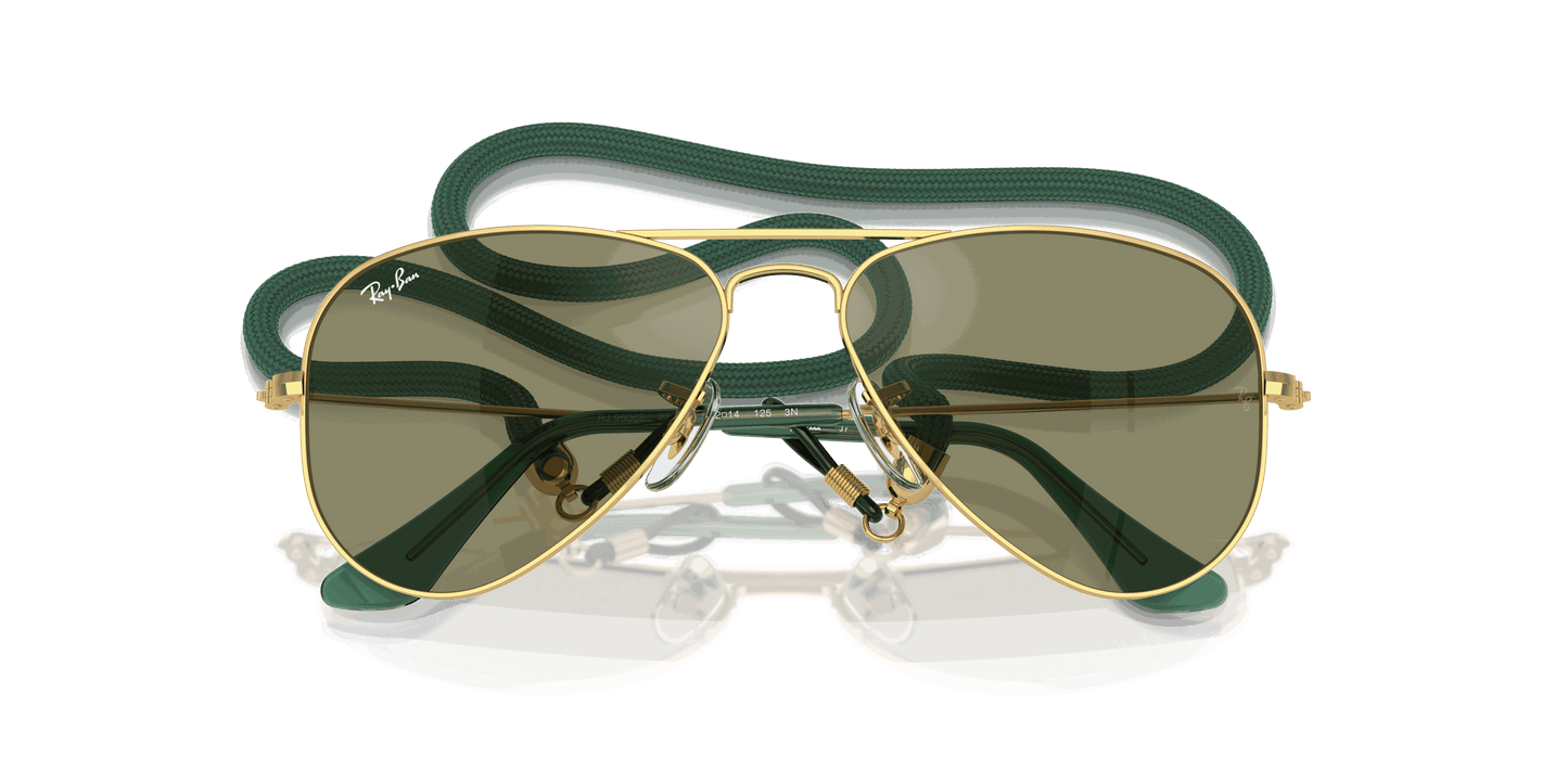 [Green Mirror Lenses, Polished Arista Gold Frame]