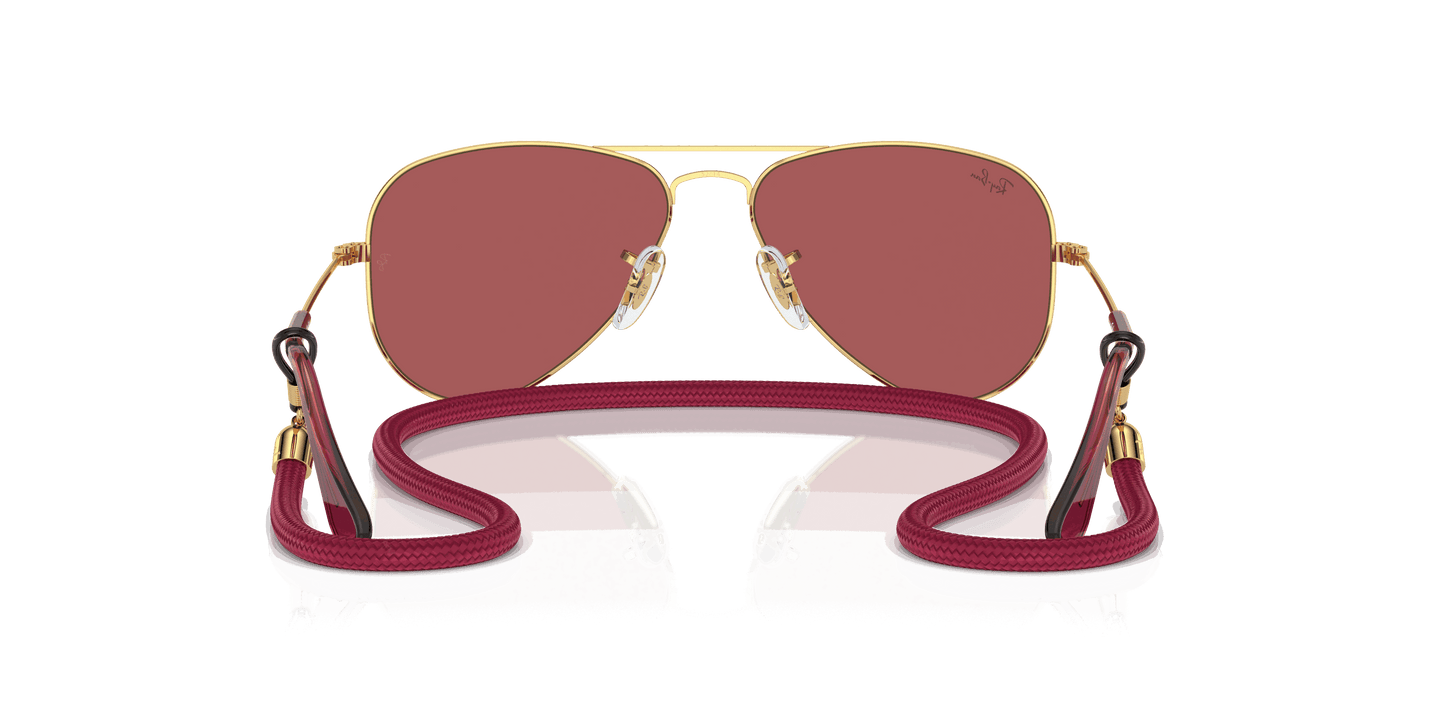 [Red Hiper 8 Mirror Lenses, Polished Arista Gold Frame]