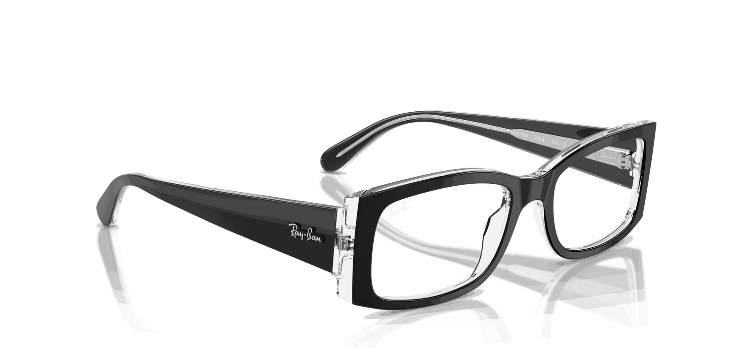 [Clear Lenses, Polished Black On Transparent Frame]