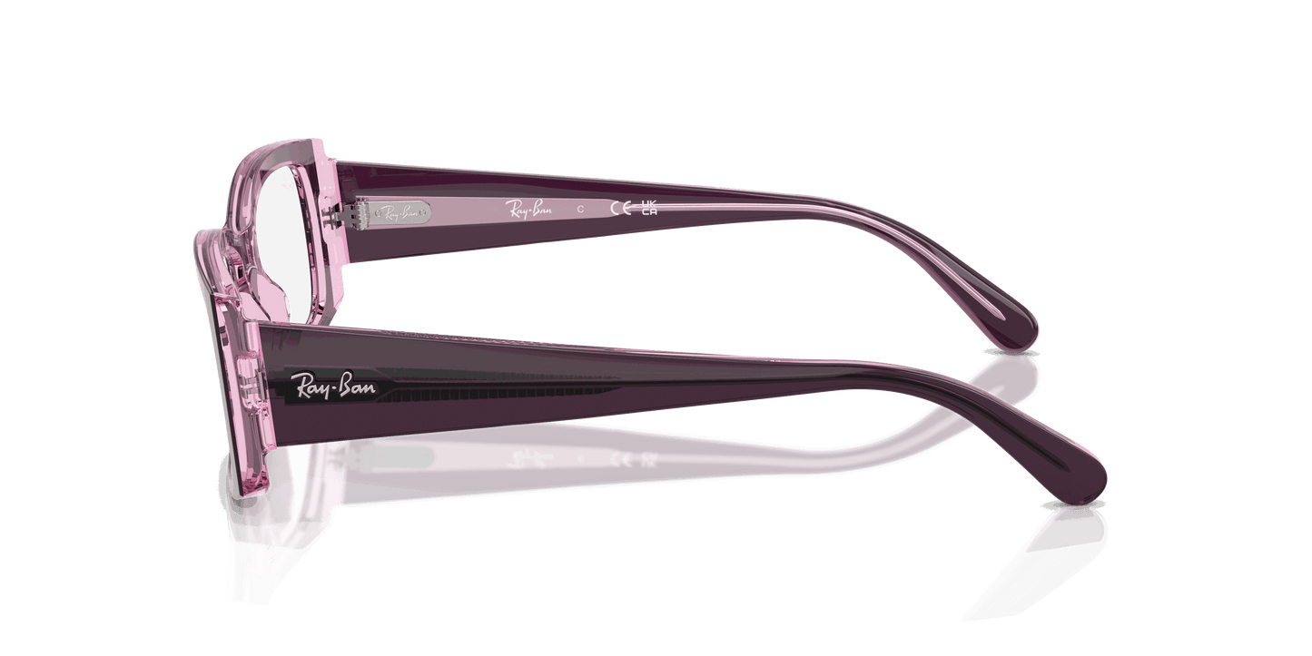 [Clear Lenses, Polished Violet On Transparent Pink Frame]