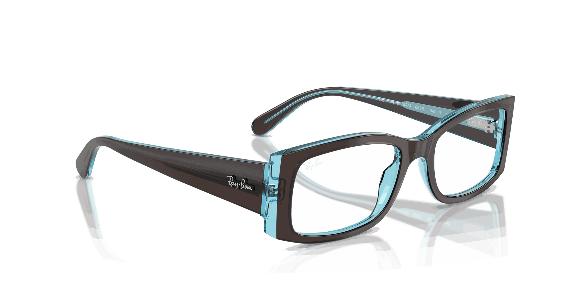 [Clear Lenses, Polished Brown On Transparent Blue Frame]