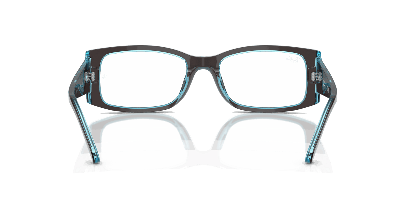 [Clear Lenses, Polished Brown On Transparent Blue Frame]