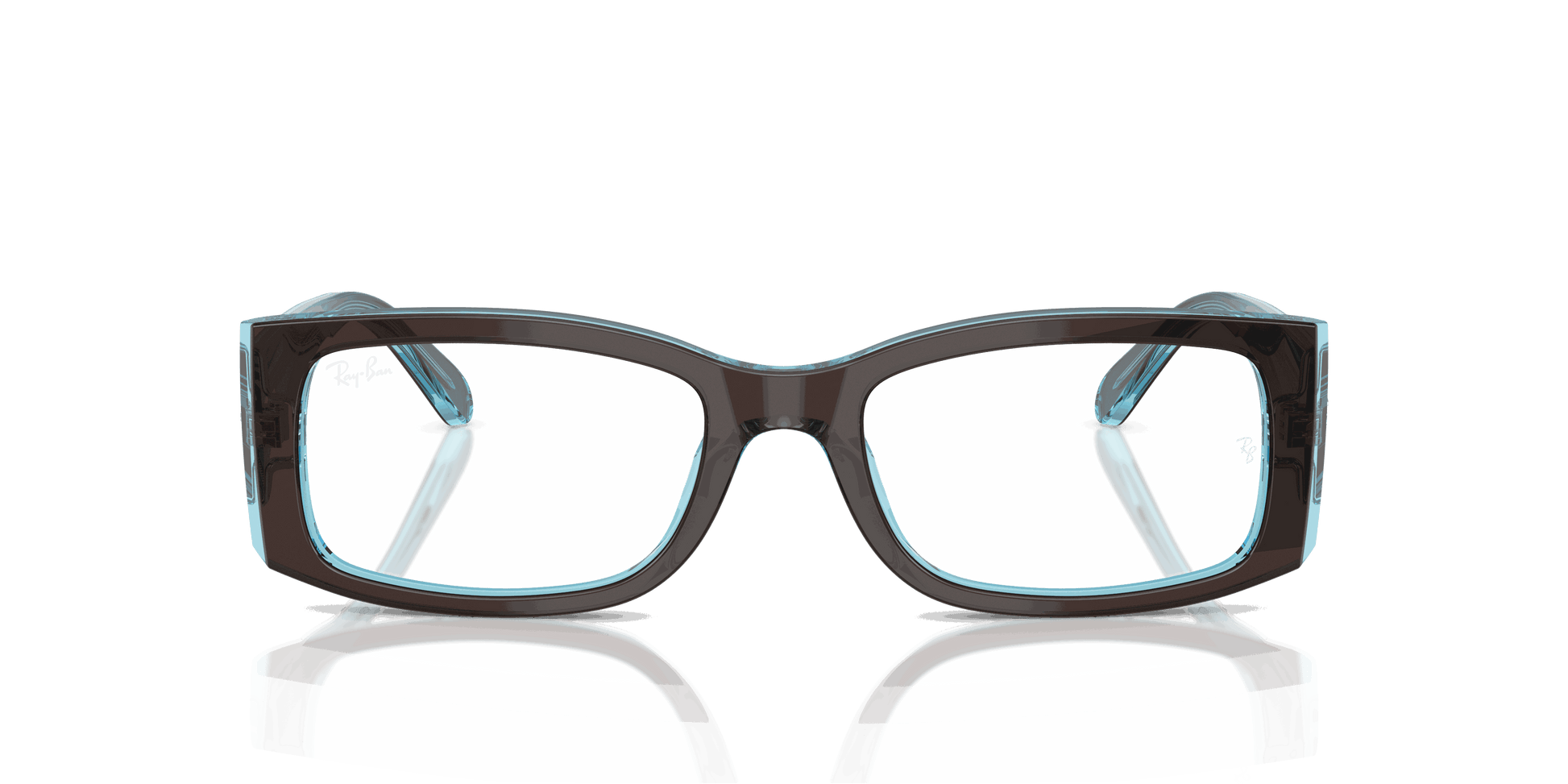 [Clear Lenses, Polished Brown On Transparent Blue Frame]