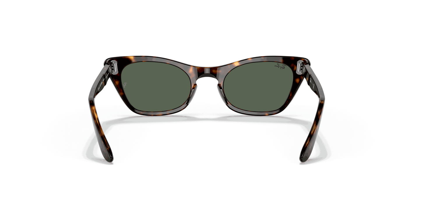 [Dark Green Lenses, Polished Havana Frame]