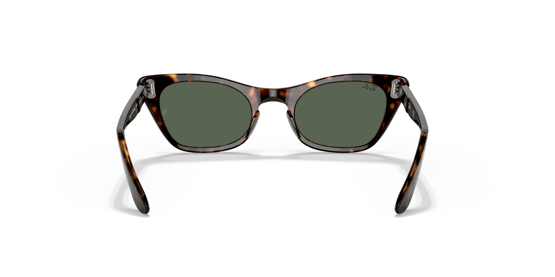 [Dark Green Lenses, Polished Havana Frame]