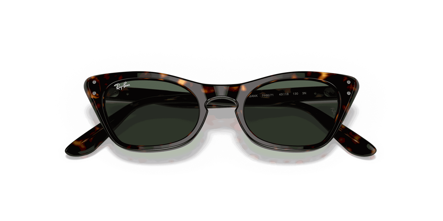 [Dark Green Lenses, Polished Havana Frame]
