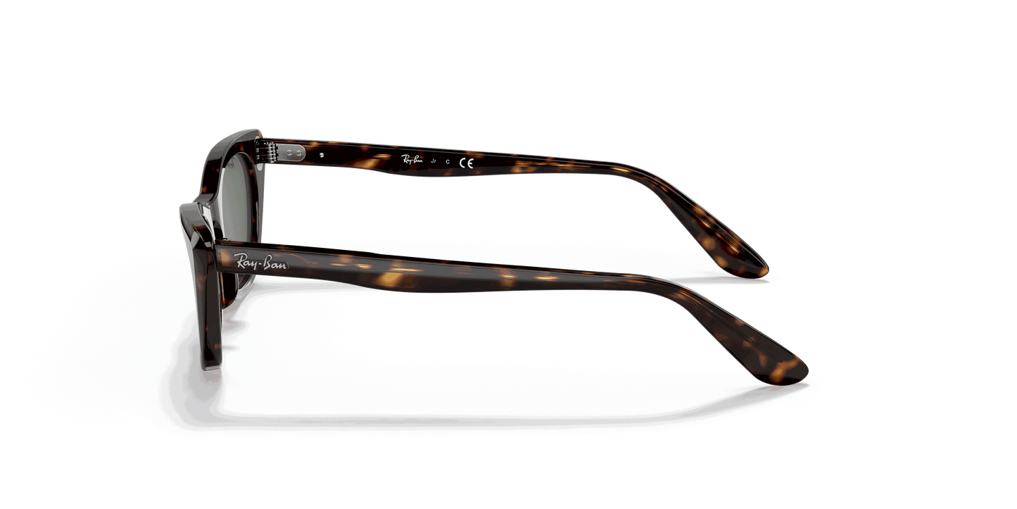 [Dark Green Lenses, Polished Havana Frame]
