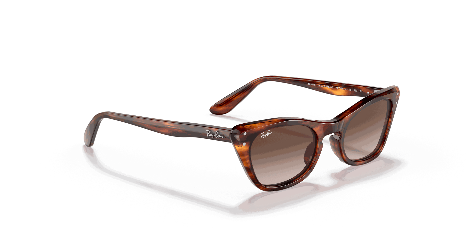 [Gradient Brown Lenses, Polished Striped Havana Frame]