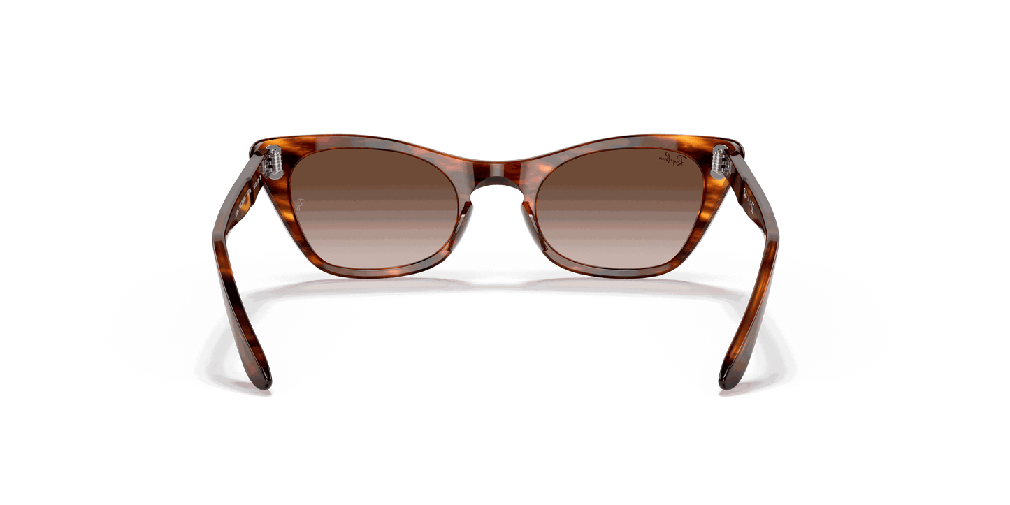 [Gradient Brown Lenses, Polished Striped Havana Frame]