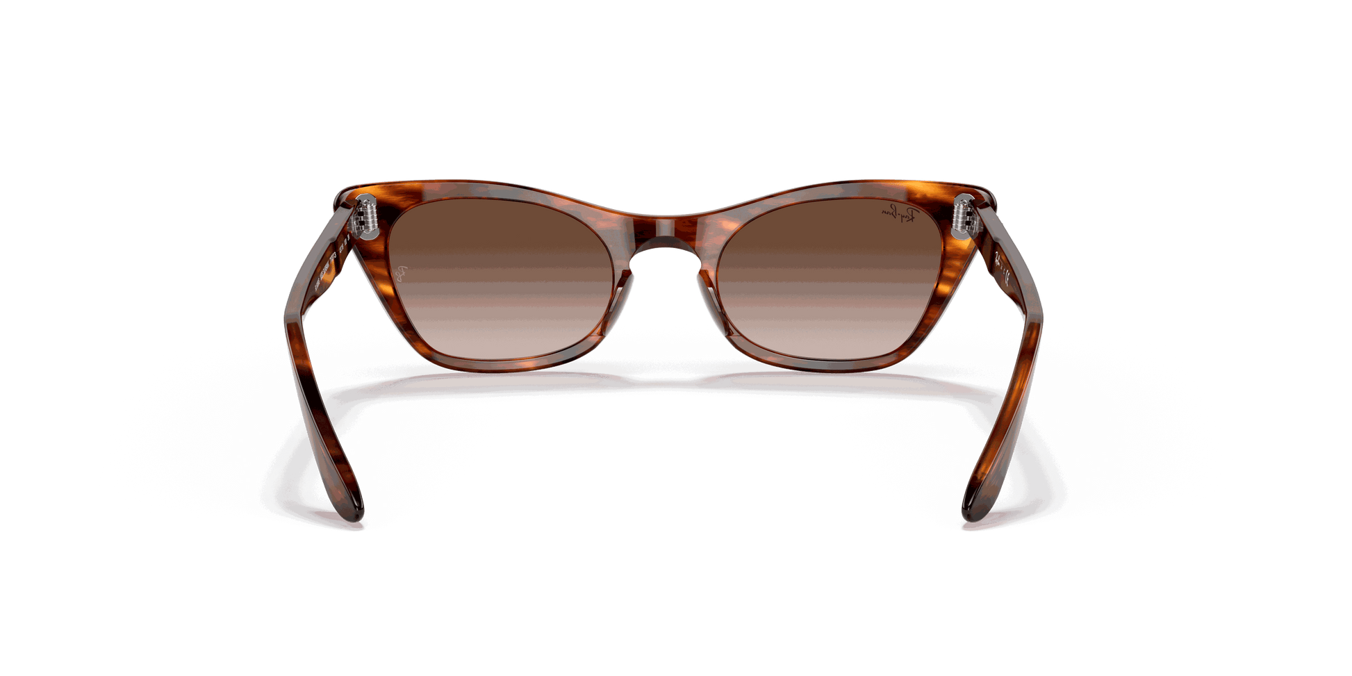 [Gradient Brown Lenses, Polished Striped Havana Frame]